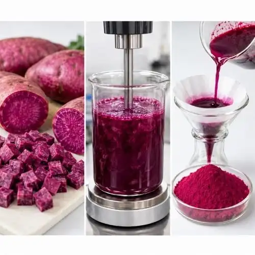 How Is Sweet Potato Red Pigment Extracted from Sweet Potatoes?